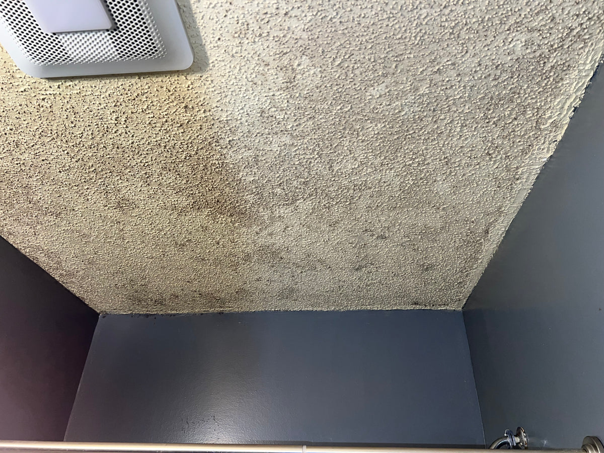 Before mold treatment