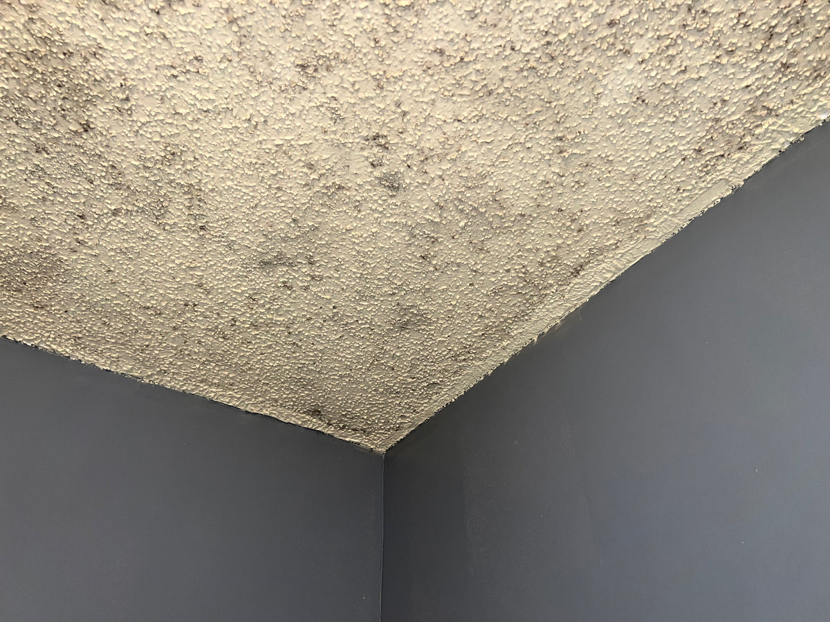 Before mold treatment
